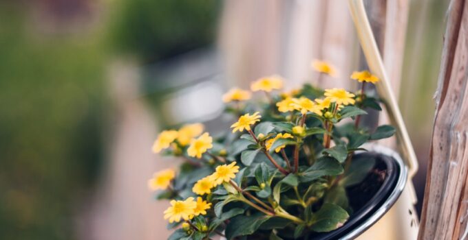 10 Easy Ways to De-clutter Your Garden in Less Than 30 Minutes