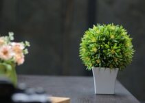 3 Ingenious Ideas on How to Secure Artificial Plants in Pots 3 Ingenious Ideas on How to Secure Artificial Plants in Pots