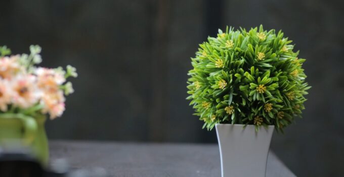 3 Ingenious Ideas on How to Secure Artificial Plants in Pots