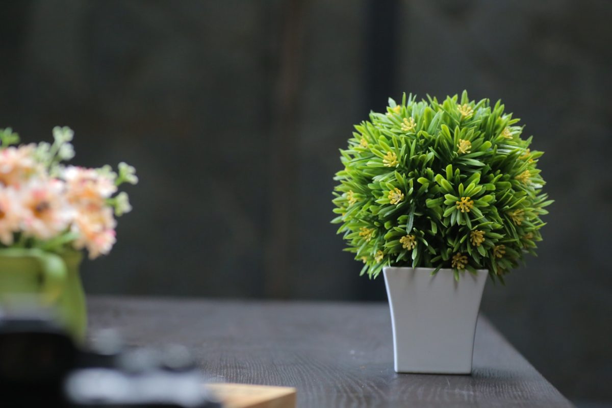 3 Ingenious Ideas on How to Secure Artificial Plants in Pots