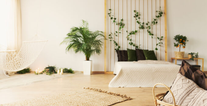 Tips for Going Green with Your Décor Choices